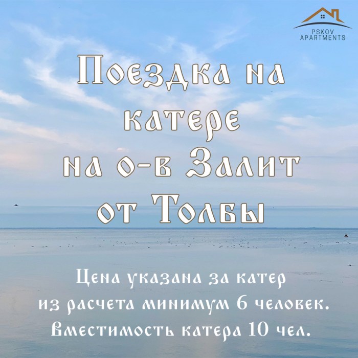 transfer-tolba-zalit2